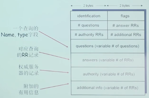 DNS 报文格式