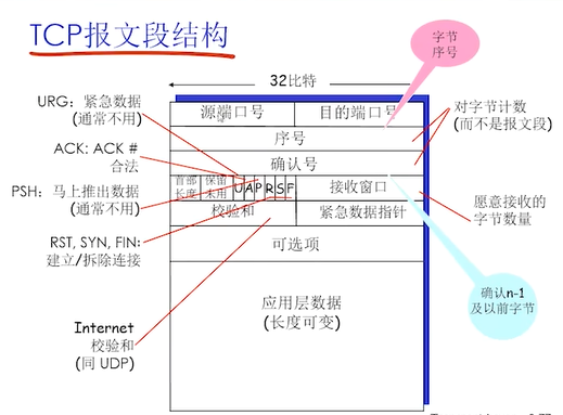 TCP 报文段结构